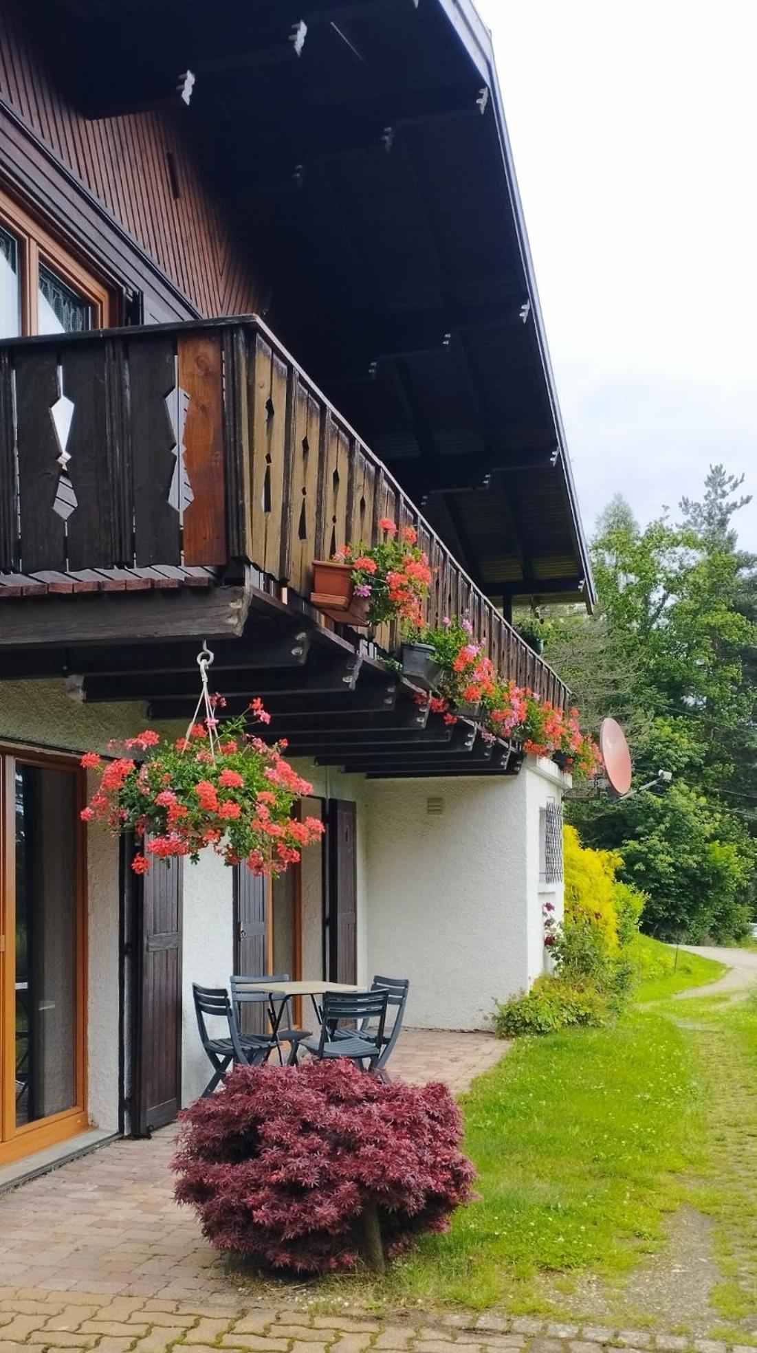 Chalet Au Bois Des Ecureuils Classe Trois Etoiles. Muhlbach-sur-Munster Exteriör bild