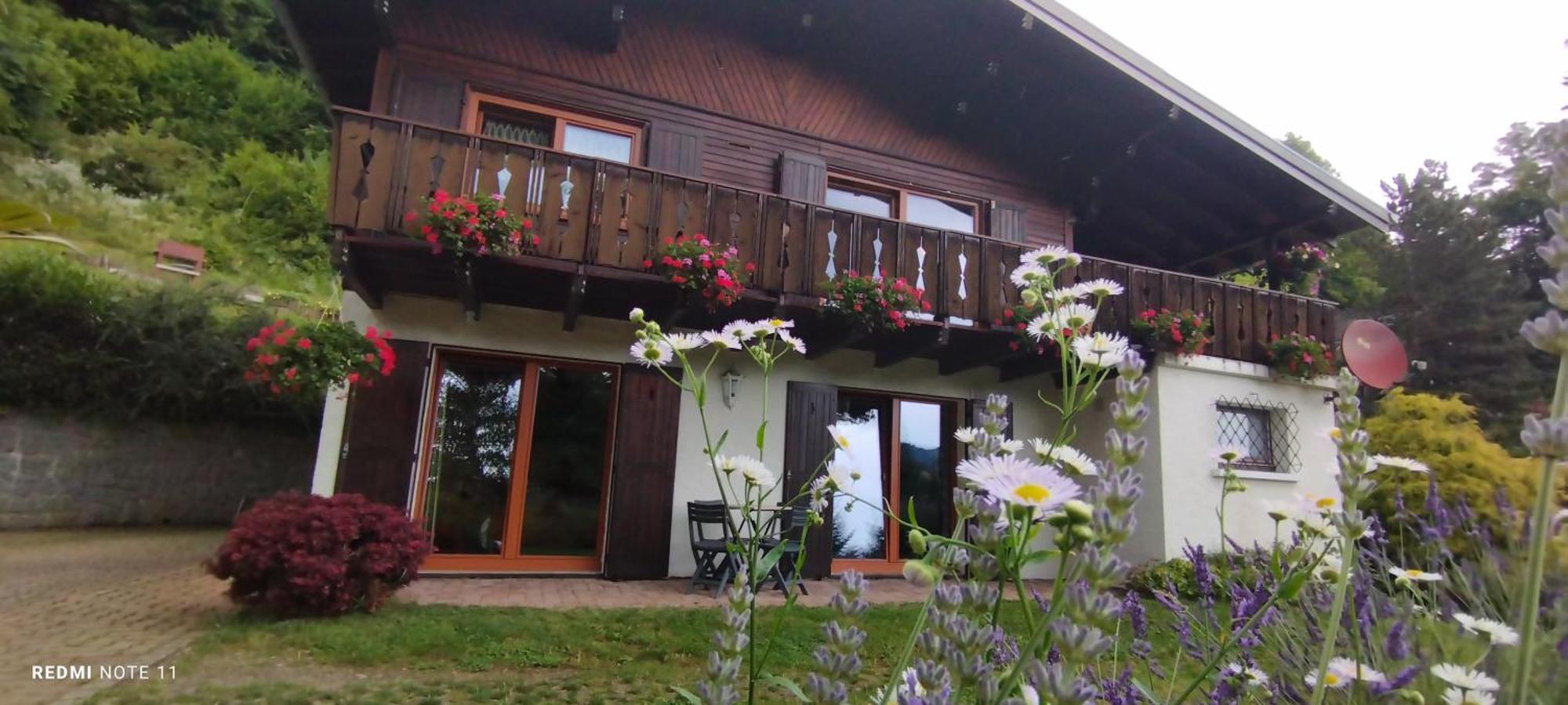 Chalet Au Bois Des Ecureuils Classe Trois Etoiles. Muhlbach-sur-Munster Exteriör bild